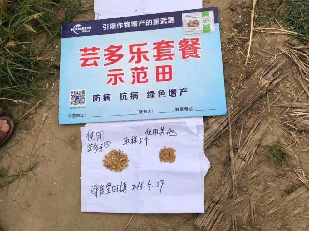 小麦增产套餐