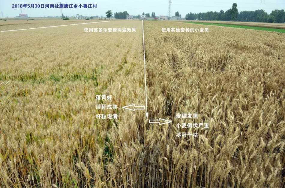 芸多乐使用情况