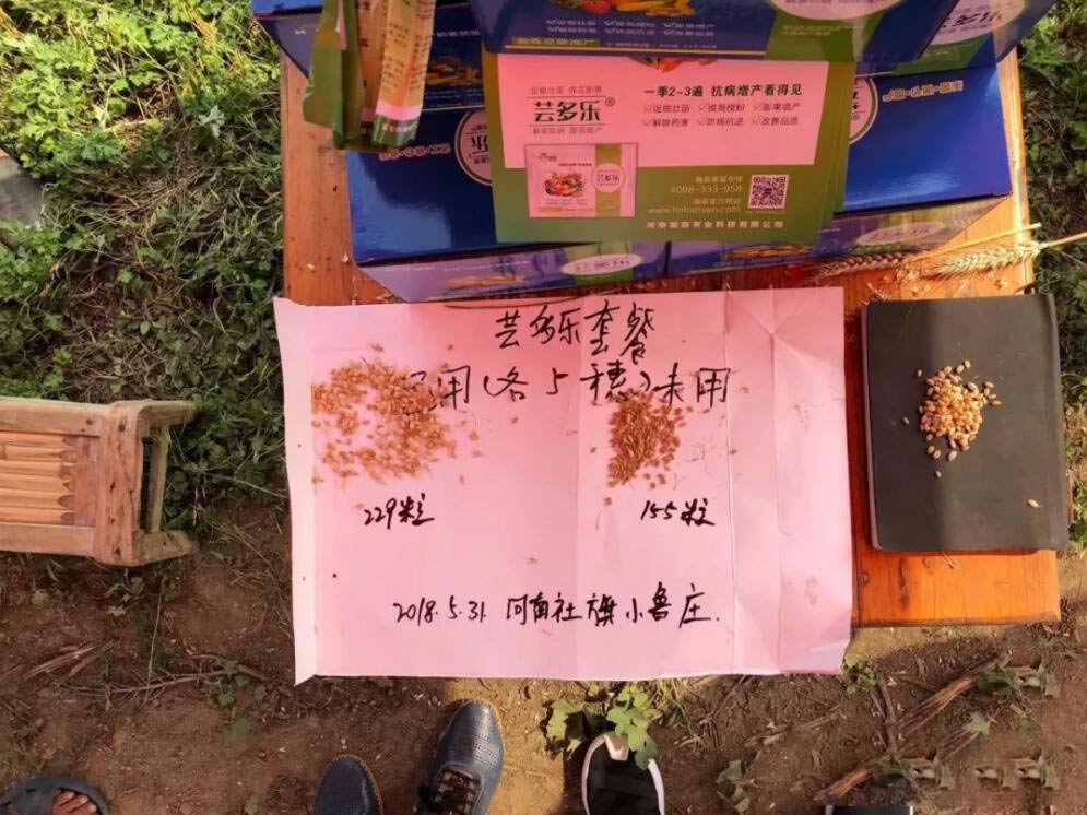 小麦套餐厂家